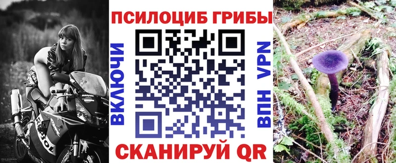 Галлюциногенные грибы Psilocybine cubensis  Карпинск 