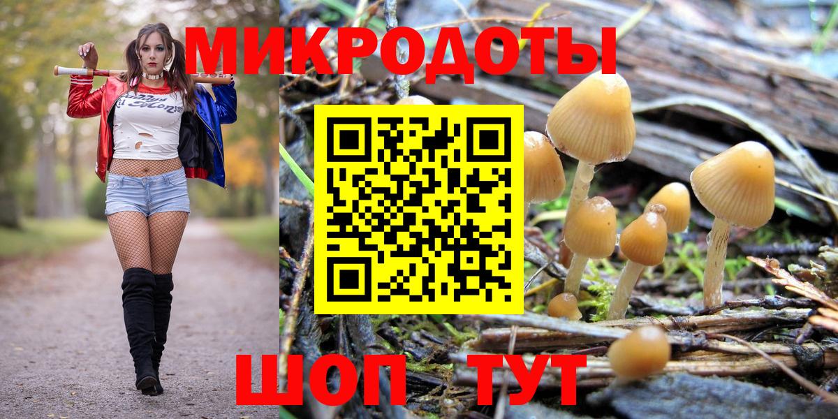 Псилоцибиновые грибы GOLDEN TEACHER  Карпинск 