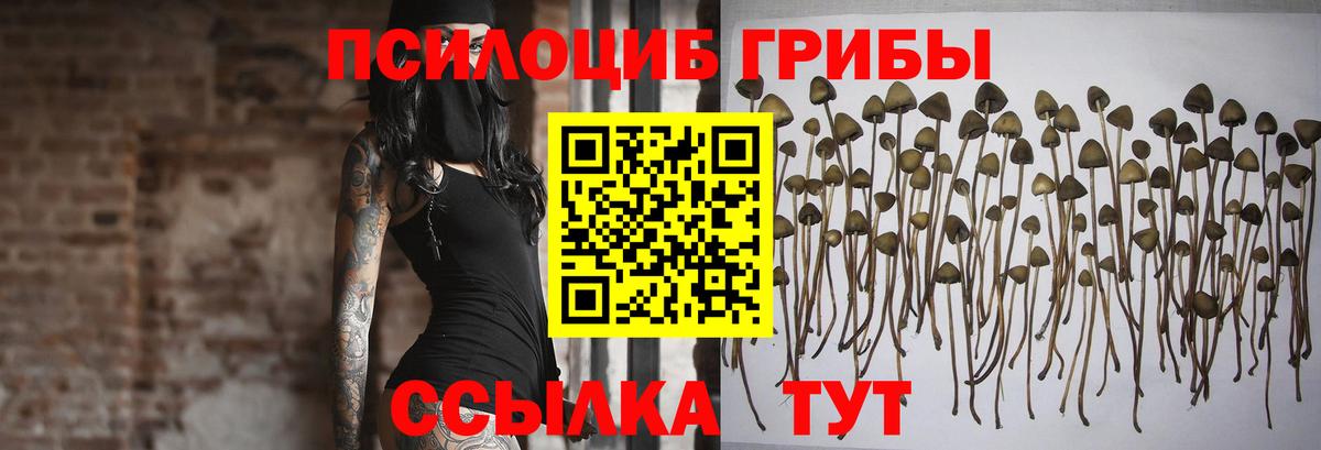 Псилоцибиновые грибы Magic Shrooms Карпинск